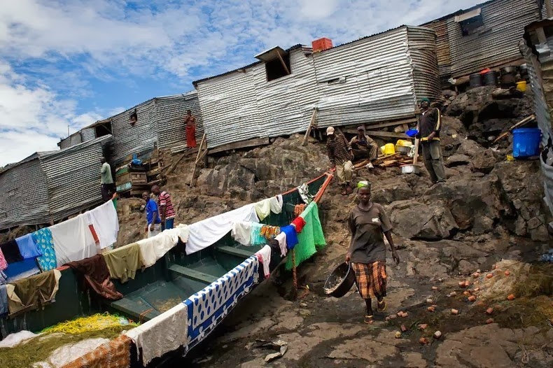 I Thought This Was A Pile Of Trash Floating In The Ocean. I Was WAY Wrong.
