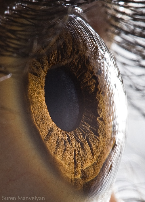 These 13 Fascinating CloseUps Of The Human Eye Will Mesmerize You