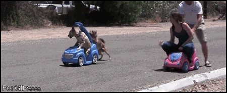 These People Failed So Bad At These Things. That's What Makes It So Good.