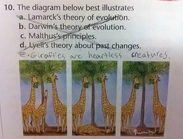 These People Failed So Bad At These Things. That's What Makes It So Good.