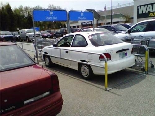 These People Failed So Bad At These Things. That's What Makes It So Good.