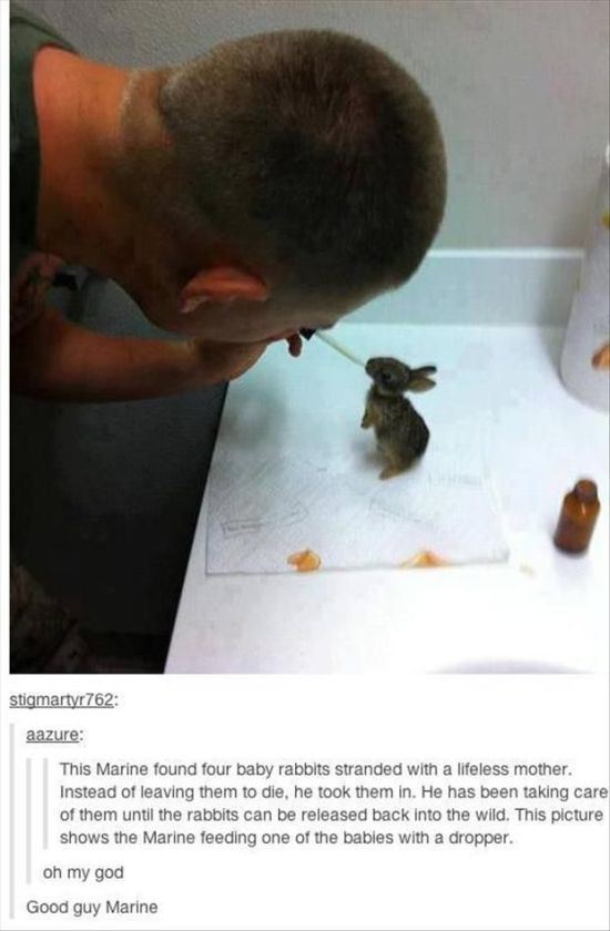What Happened To These 27 Animals Made Me Cry A Bucket Of Tears. The